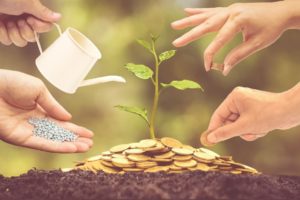 A plant growing from golden coins and hands around it watering it and caring for it