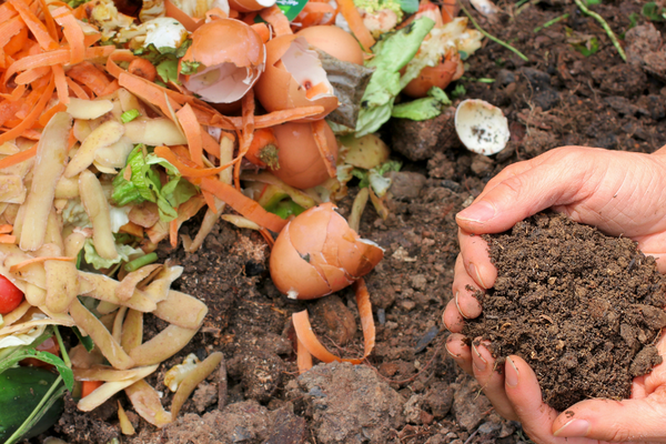 An image of vegetable scraps and peelings being added to a compost bin, promoting a sustainable and zero-waste kitchen.