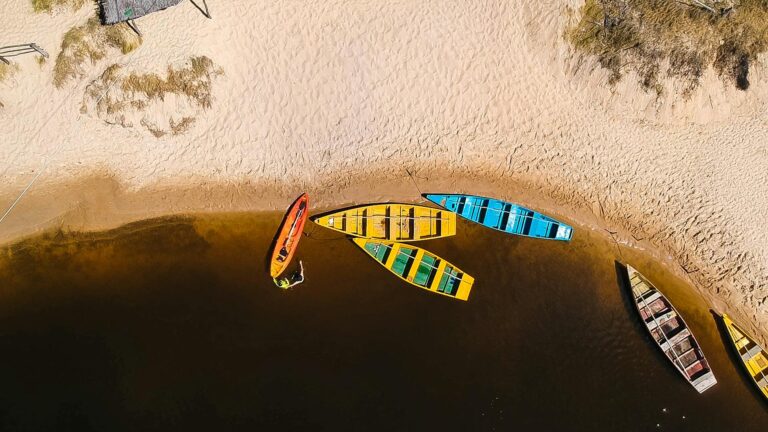 top view of assorted colored row boats