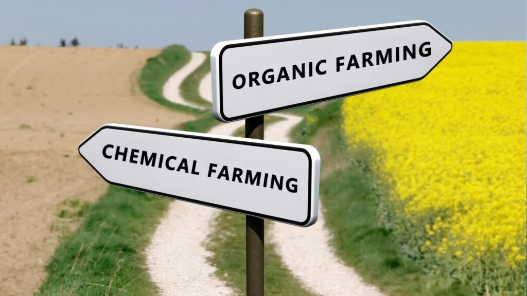 Organic farming vs chemical farming