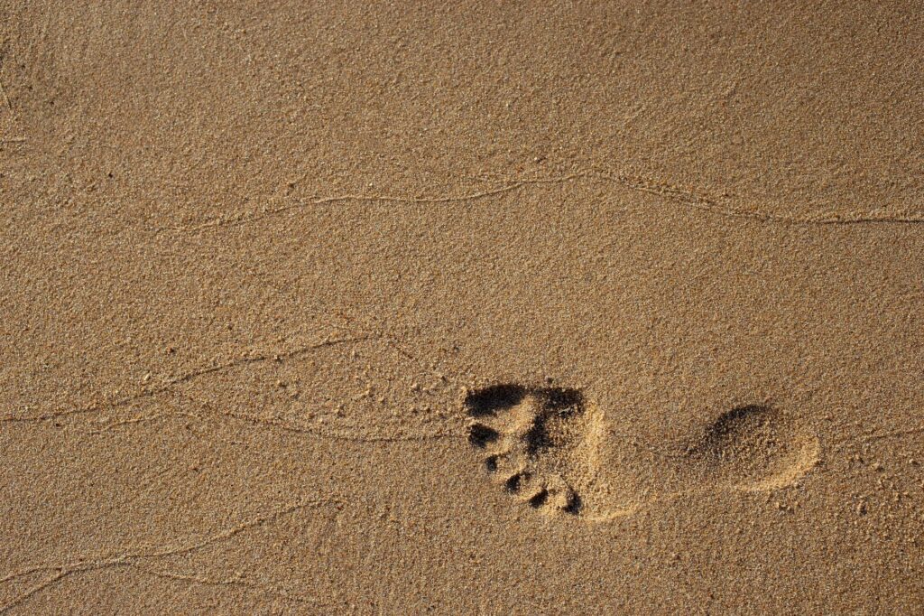 Footprint