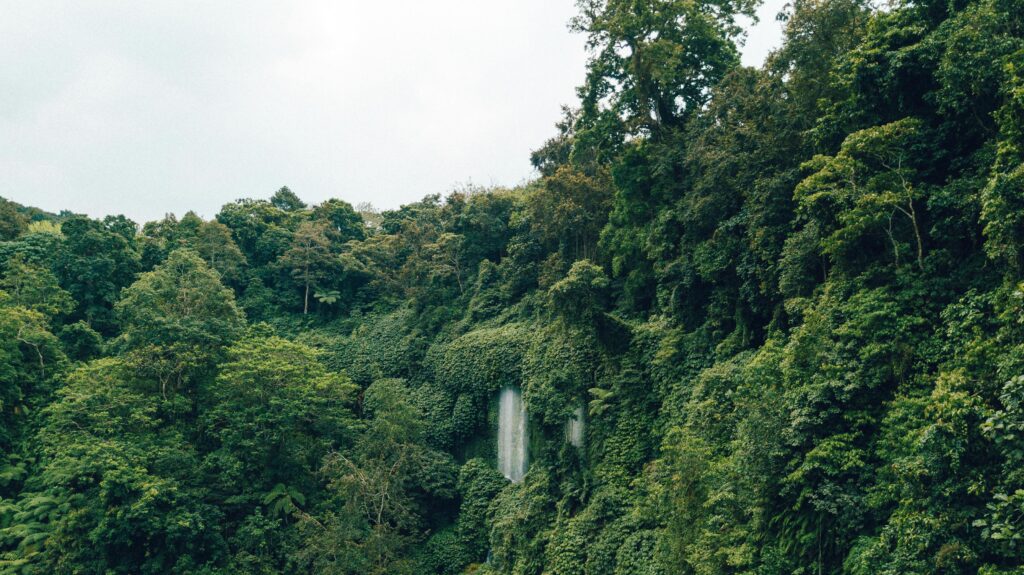 Tierras indígenas