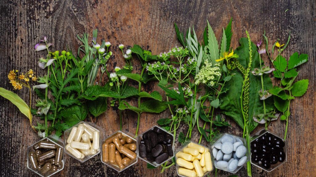 herbs and supplements for immunity